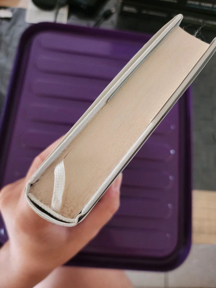 Livre broché "les âmes obscures" de Jacques Mazeau - photo numéro 4