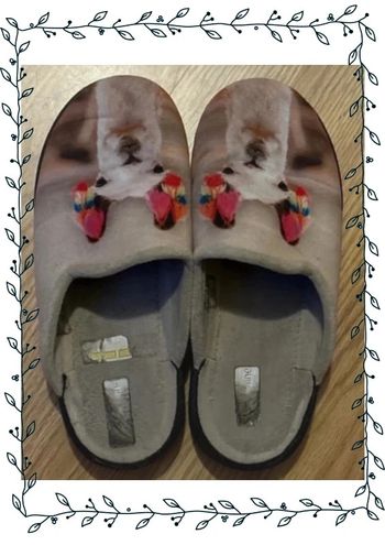 Pantoufles 38