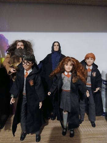 Lot poupées harry potter