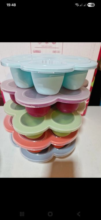 Lot de fleurs multiportions beaba