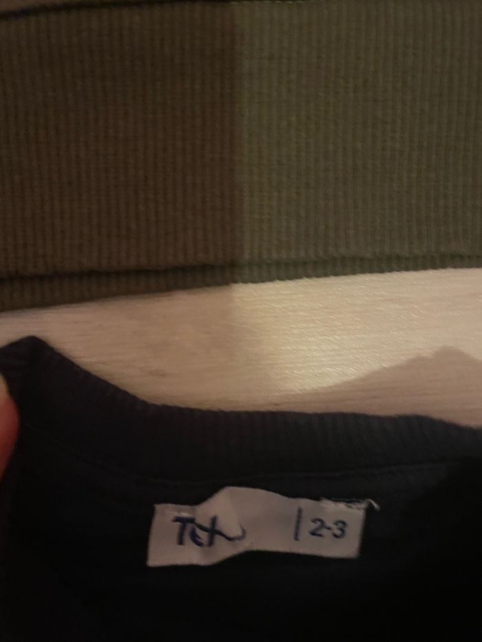 Lot de 2 sweats garçon Tex 3 ans - photo numéro 3