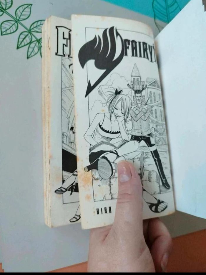 Fairytail - photo numéro 3