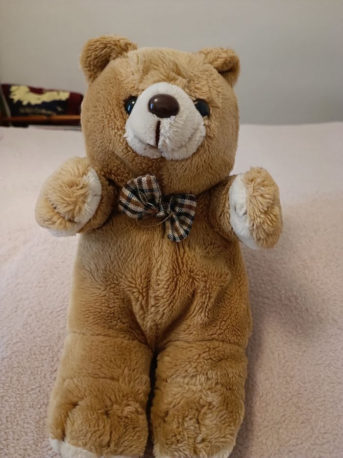 Ours en peluche - photo numéro 2