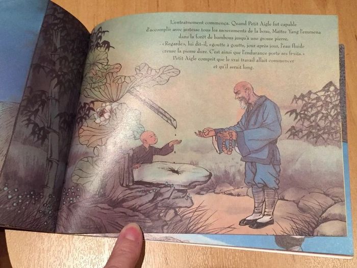 Livre Petit Aigle - photo numéro 3