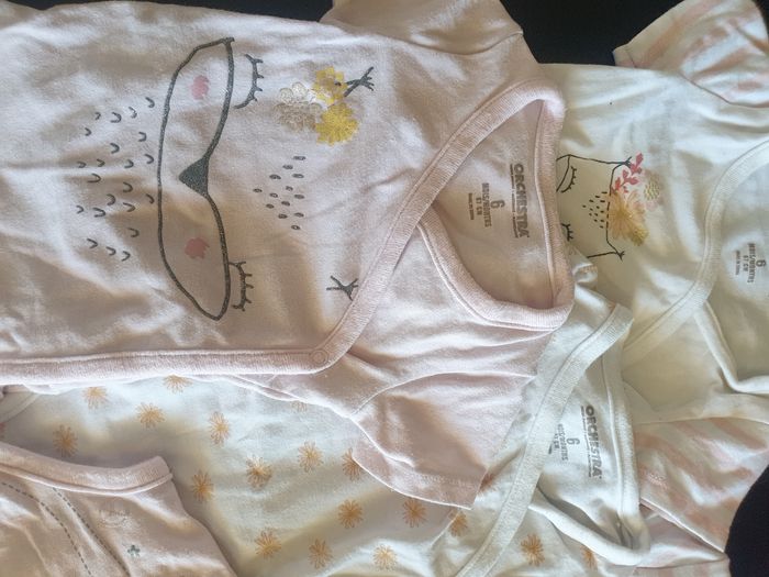 Lot 5 bodies - photo numéro 2