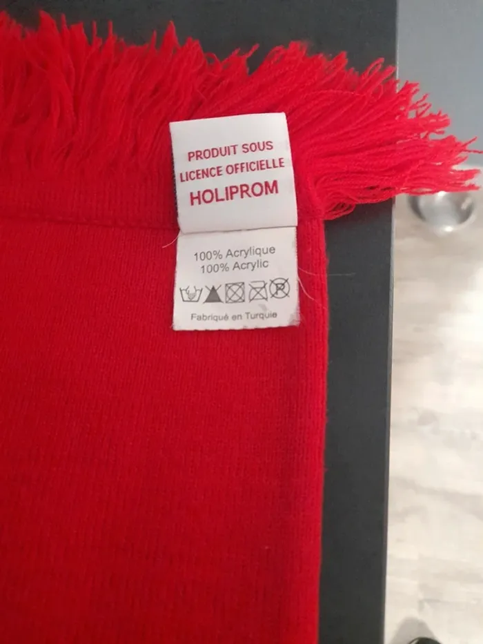 Écharpe du Losc - photo numéro 5