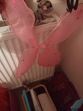 Ailes de papillon roses