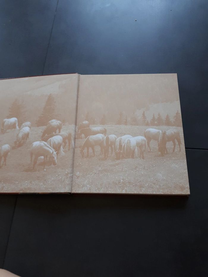 Très beau livre le grand livre des chevaux - photo numéro 2