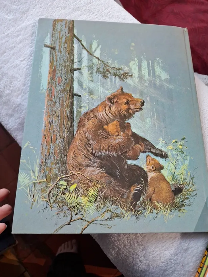 Magnifique livre pour jeune enfant sur les Animaux de la foret - photo numéro 6