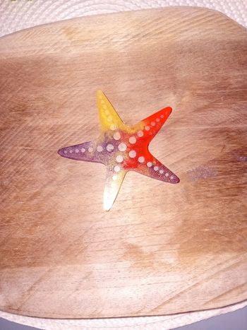 Porte clé étoile de mer résine epoxy