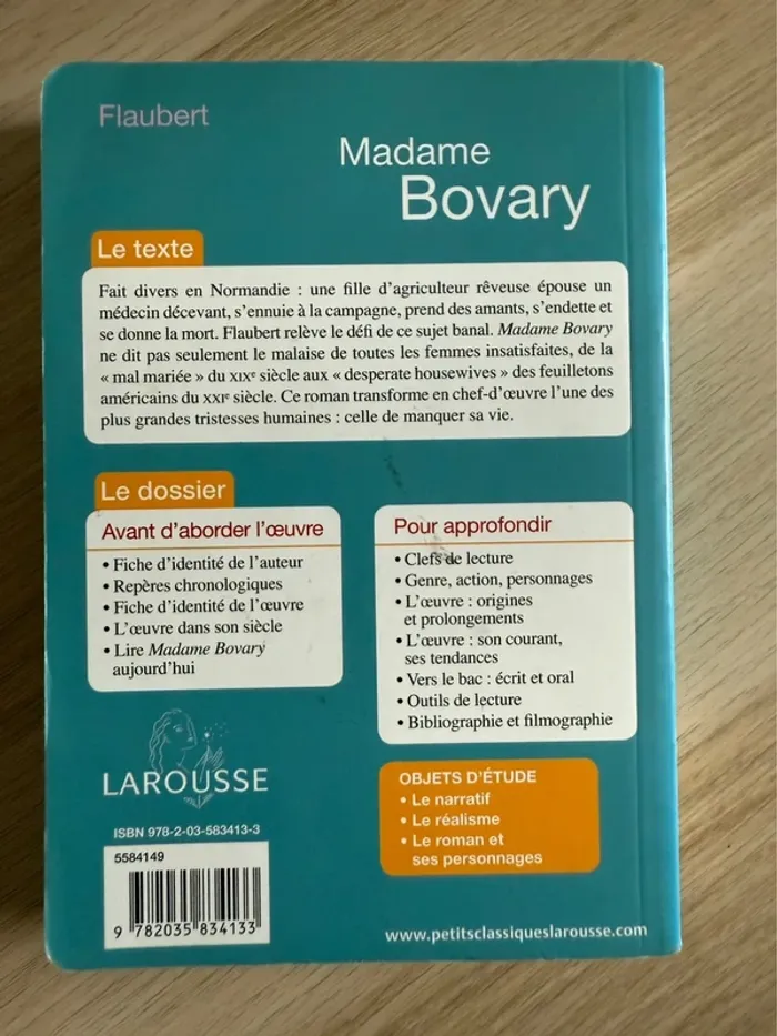 Flaubert Madame Bovary - photo numéro 2