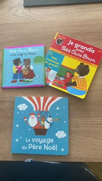 Lot 3 livres petit ours brun et le voyage du père noël