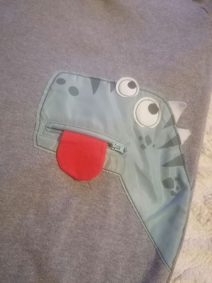 Pull sweat-shirt à capuche 🦖 garçon 12 ans - photo numéro 5
