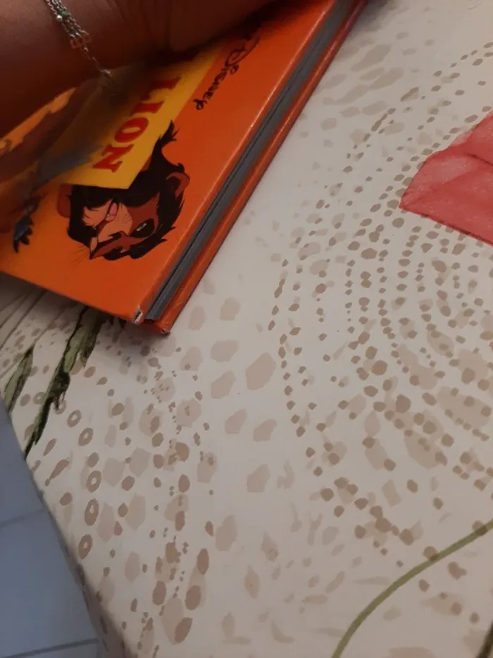 Gros livre disney le roi lion - photo numéro 5