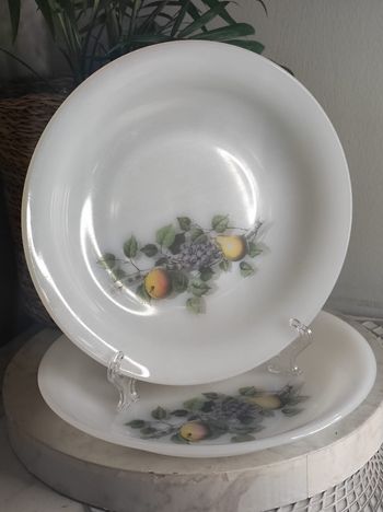 Assiettes arcopal fruit de france années 60