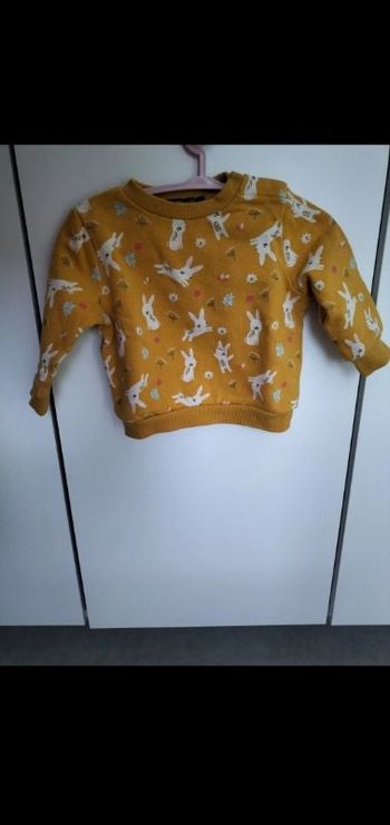 Pull lapin