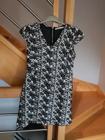 Robe TM