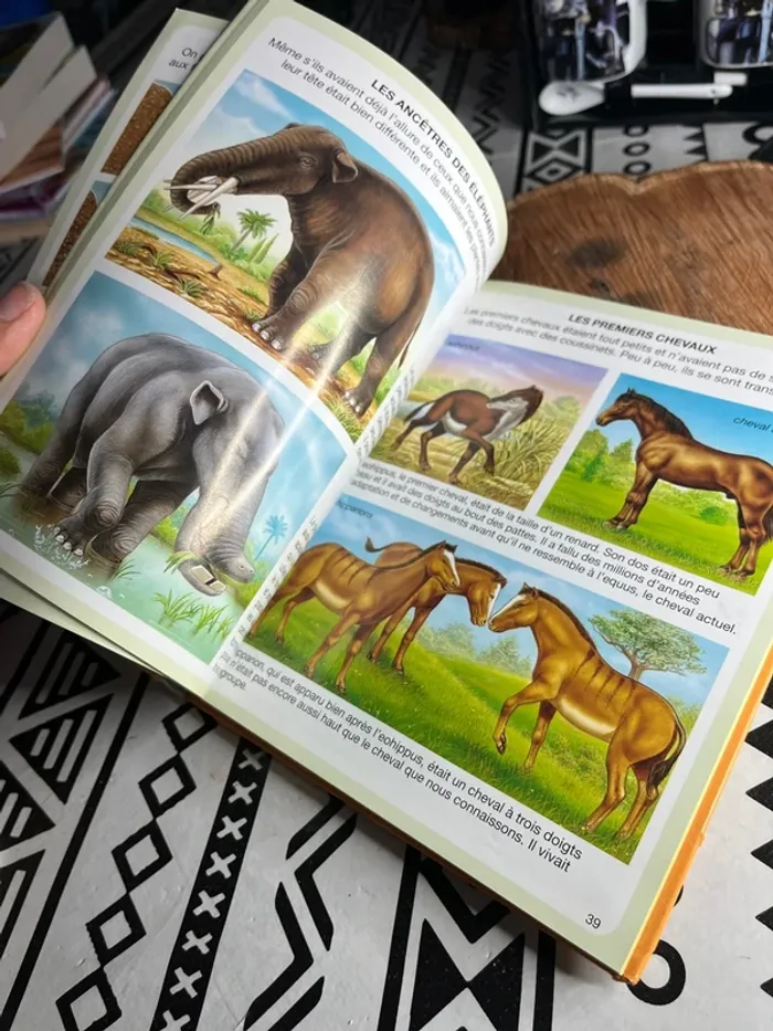 L’imagerie des dinosaures et de la préhistoire - photo numéro 3