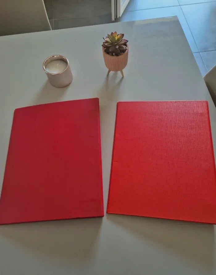 Lot de 2 classeurs - photo numéro 4