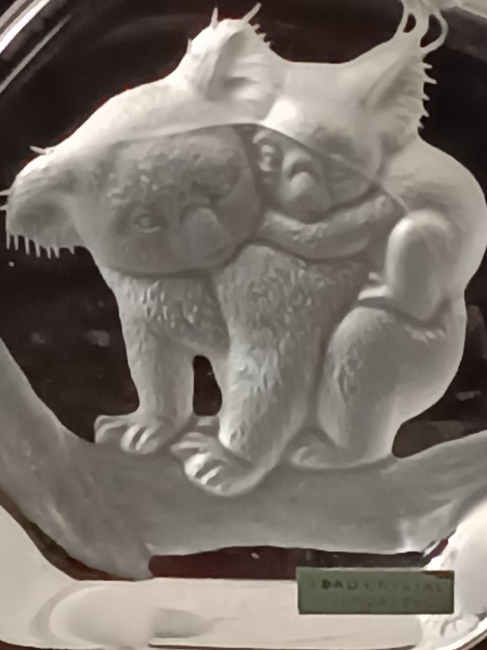 Koalas cristal - photo numéro 7