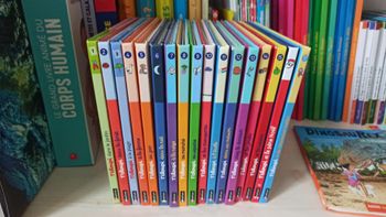 Lot 17 livres T'choupi