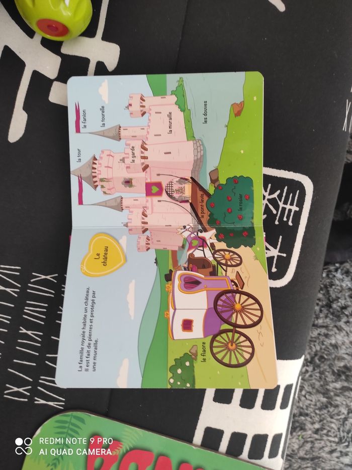 Livre tout sur les princesses - photo numéro 3