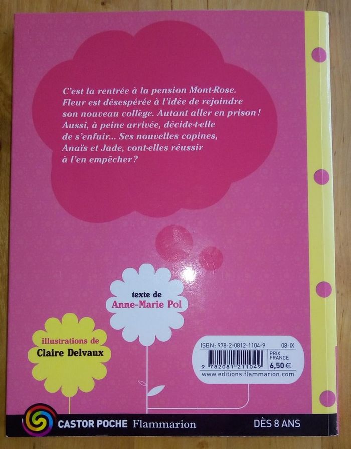 2 livres enfant Les 3 copines - photo numéro 3