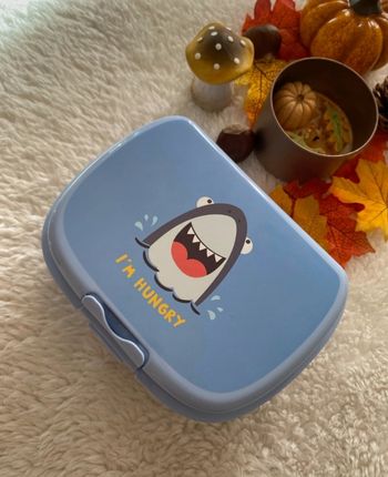Boîte lunch 🦈🦈