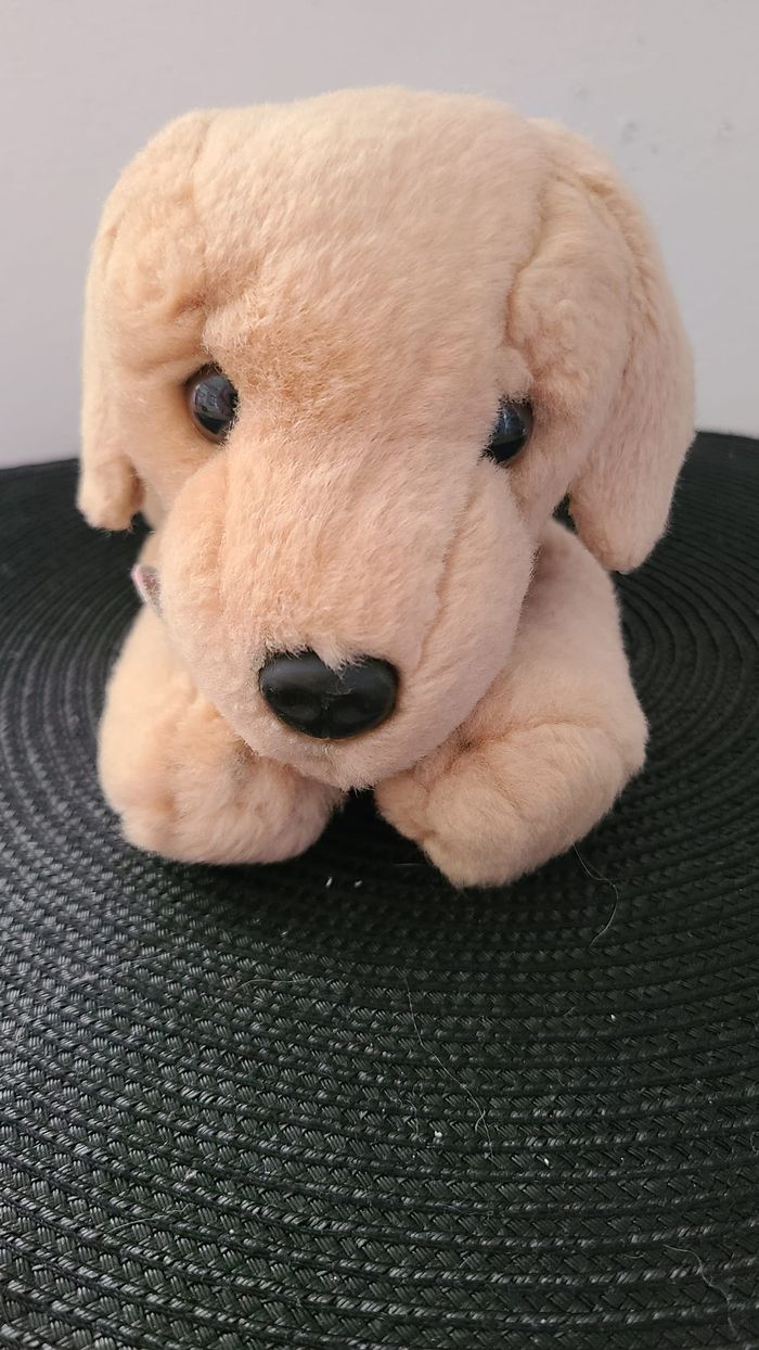 Véritable chiot Labrador doré en peluche « Keel Toys ». Chiot de couleur marron clair/sable avec un - photo numéro 4