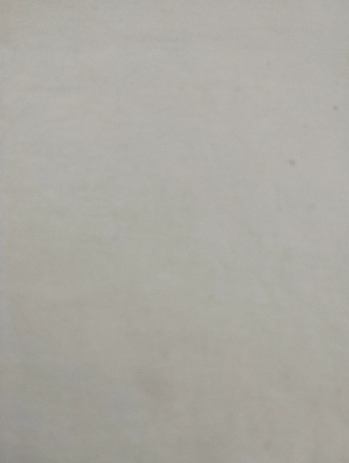 Lot 3 t-shirts manches courtes fille 24 mois - photo numéro 10