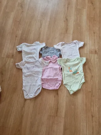 6 bodies 24 mois