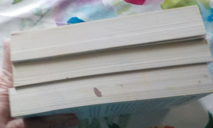 3 Michel Bussi Maman a tort Ne lâche pas ma main Un avion sans elle Ed. Pocket - photo numéro 7