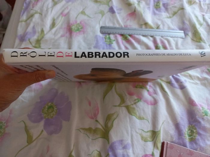 Livre drole de labrador - photo numéro 7