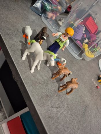 Playmobil femme à la ferme