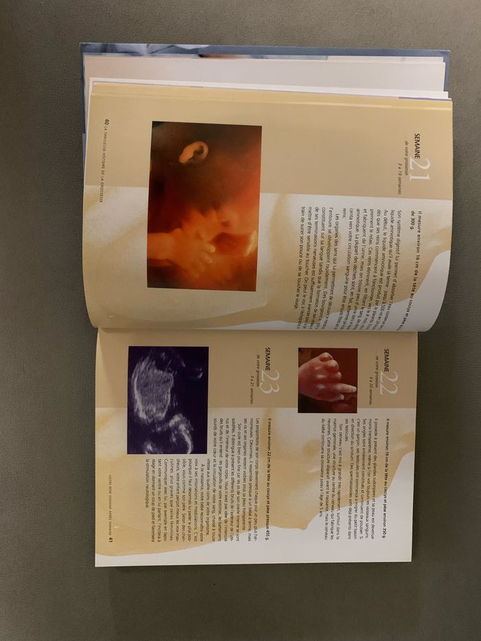 Livre grossesse - photo numéro 2