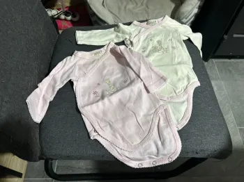 Lot 2 bodies