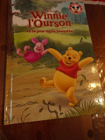 Livre Winnie l'Ourson et le jour de la tempète Disney club du livre
