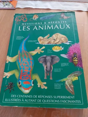 Questions et réponses Les animaux