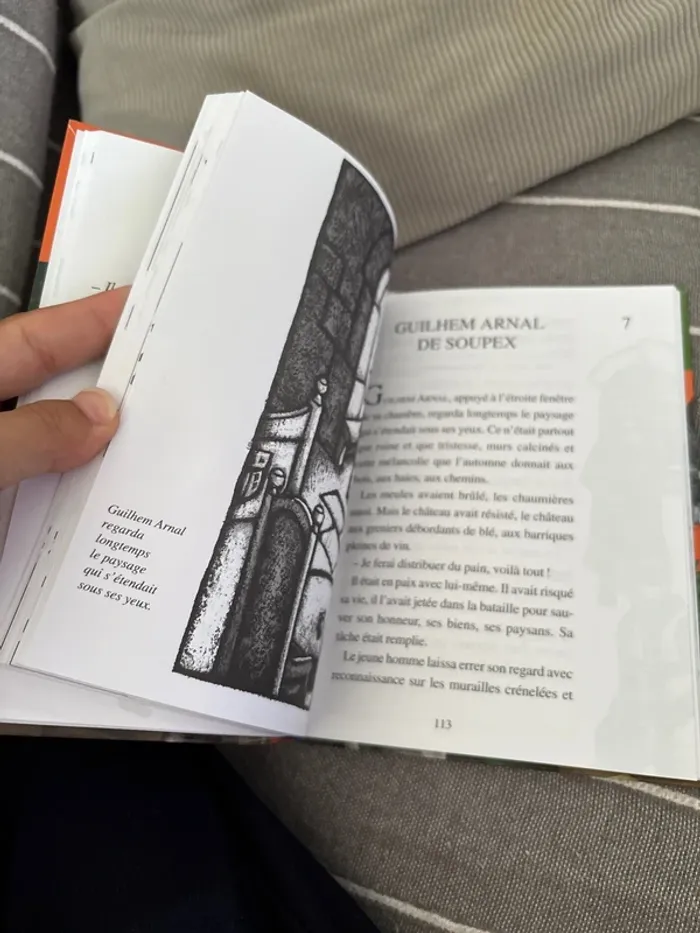 Livre le faucon déniché - photo numéro 3
