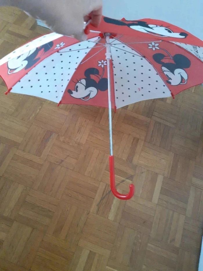 Parapluie Minnie orchestra since 1928 - photo numéro 4