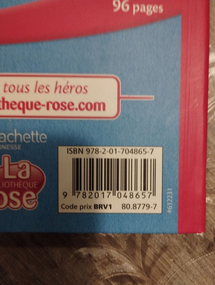 Bienvenue chez les Loud - des sœurs d'enfer - photo numéro 3