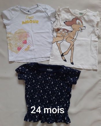 3 tee-shirts manches courtes  fille dont 1 Disney (Bambi) en lot ou à l'unité - 24 mois