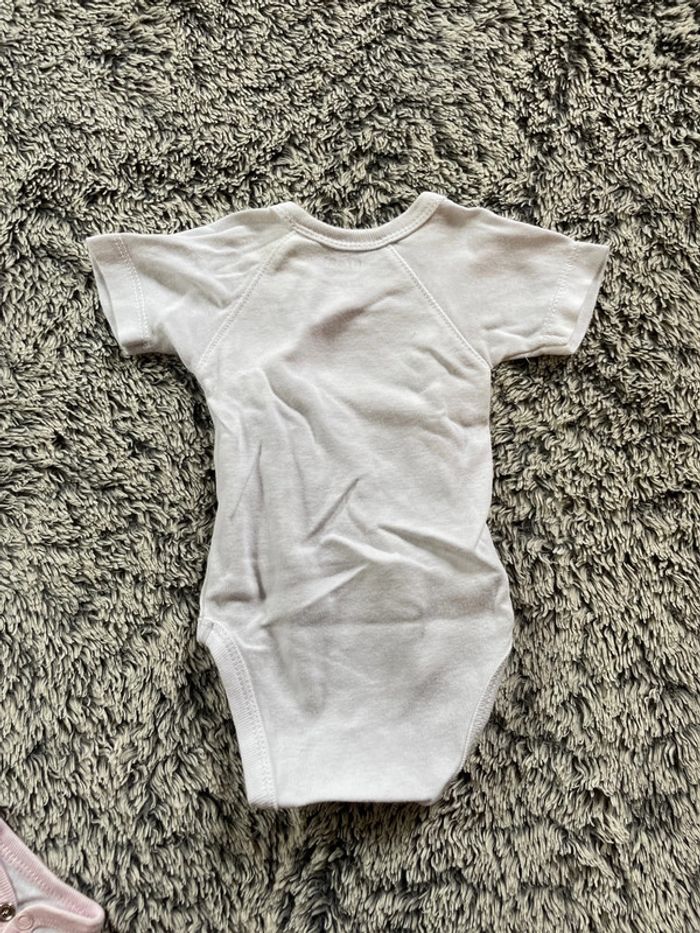 Lot 4 bodys - photo numéro 3