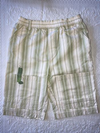 Short Sergent Major 4 ans rayé vert