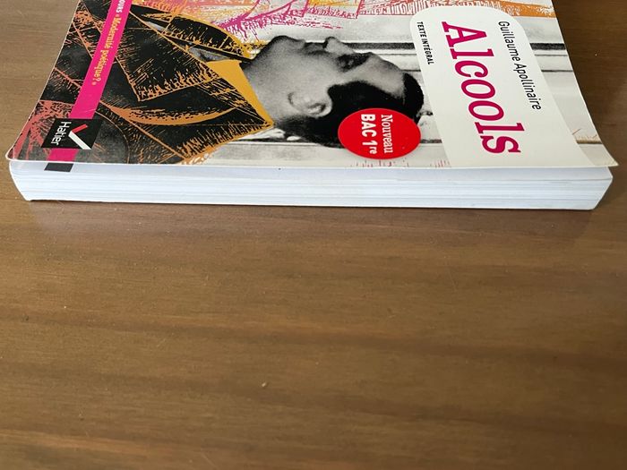 Alcools Guillaume Apollinaire HATIER - photo numéro 3