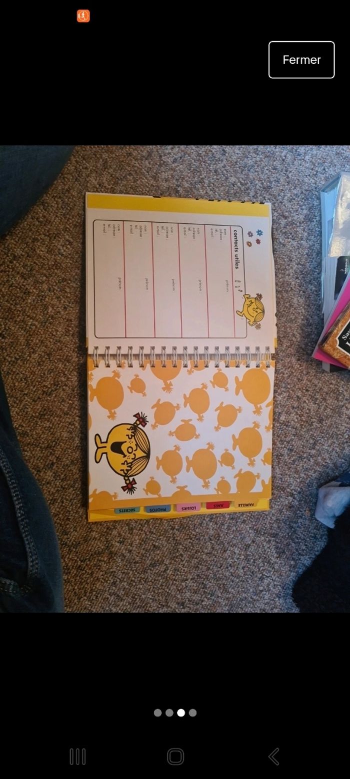 Journal madame bonheur - photo numéro 3