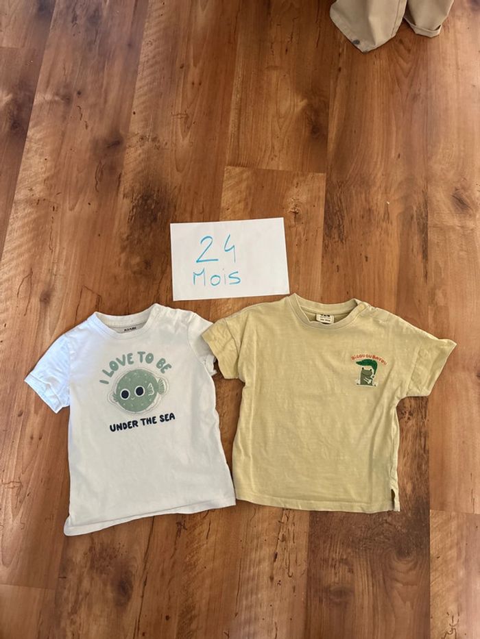 Lot de 2 tshirts manches courtes 24 mois