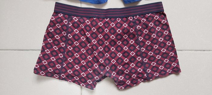 Boxer M - photo numéro 7