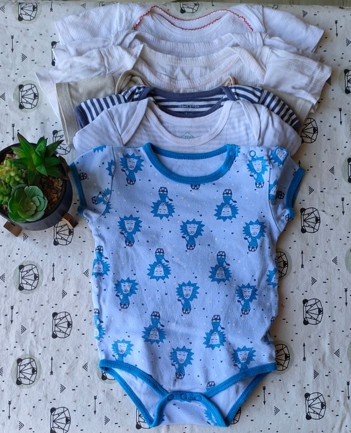 Lot de bodies MC taille 18 mois