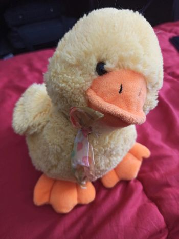 Peluche canard